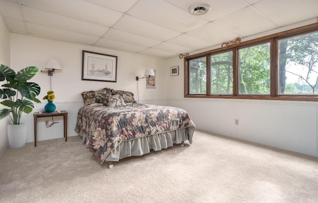 9420 Whim Trl, Richland, MI 49083 - bedroom featuring visible vents, multiple windows, carpet flooring, and a paneled ceiling