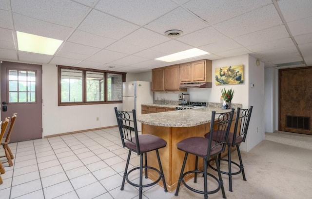 9420 Whim Trl, Richland, MI 49083 - kitchen featuring a paneled ceiling, range, under cabinet range hood, and freestanding refrigerator