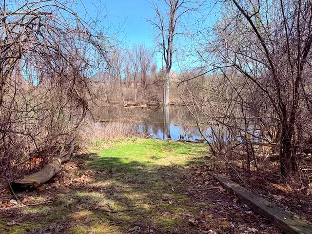 5900 Commerce Rd, West Bloomfield, MI 48324 - view of water feature