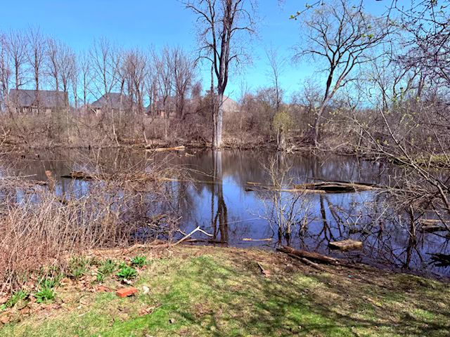 5900 Commerce Rd, West Bloomfield, MI 48324 - property view of water