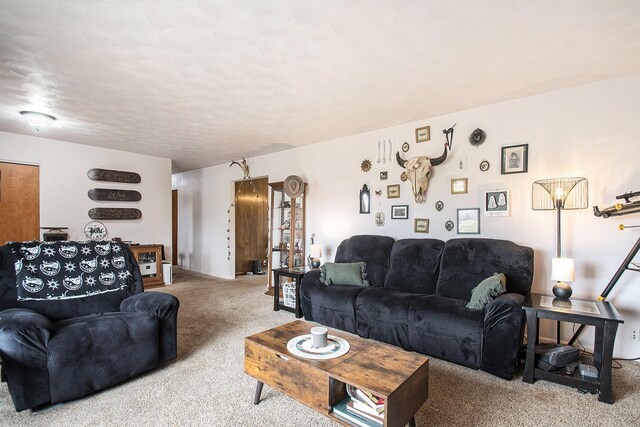 view of carpeted living area