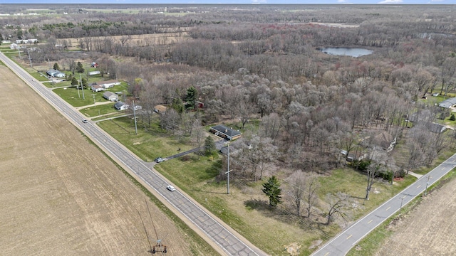 bird's eye view with a view of trees