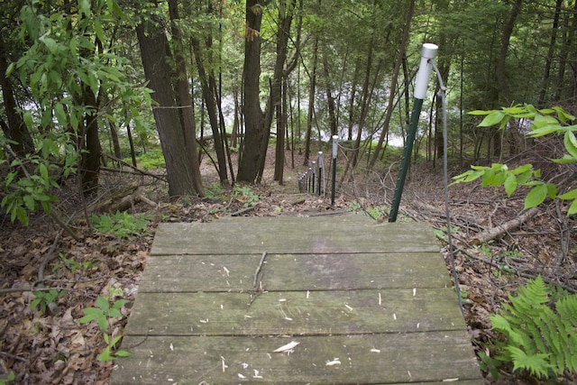 8594 S Felch Ave, Newaygo, MI 49337 - view of yard