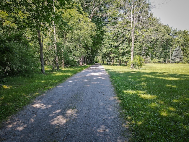 8594 S Felch Ave, Newaygo, MI 49337 - view of street featuring a view of trees
