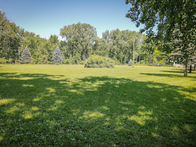 8594 S Felch Ave, Newaygo, MI 49337 - view of green lawn