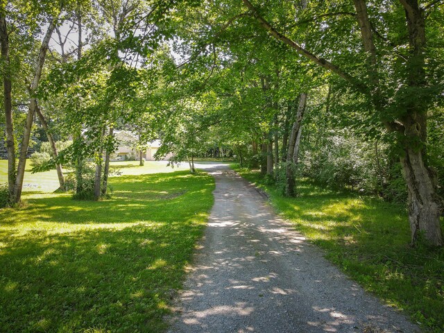 8594 S Felch Ave, Newaygo, MI 49337 - view of street