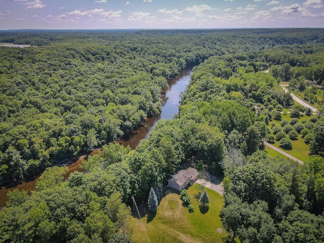 8594 S Felch Ave, Newaygo, MI 49337 - bird's eye view of a forest and a nearby body of water