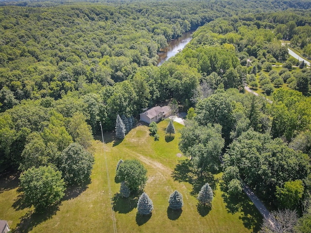 8594 S Felch Ave, Newaygo, MI 49337 - aerial view of a heavily wooded area and a nearby body of water