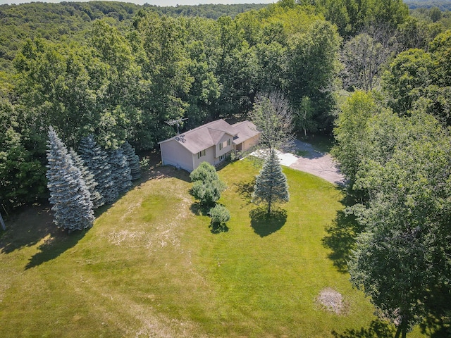 8594 S Felch Ave, Newaygo, MI 49337 - aerial view of property and surrounding area featuring a heavily wooded area