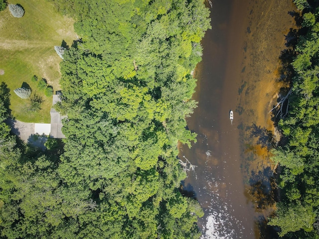 8594 S Felch Ave, Newaygo, MI 49337 - aerial view of property's location with a large body of water
