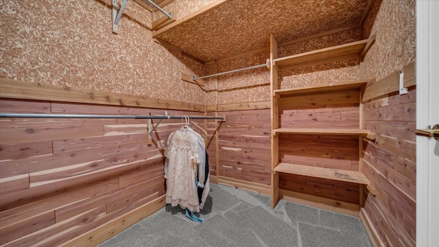 spacious closet with carpet flooring