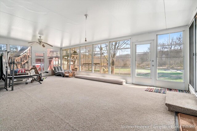 1220 W Green St, Hastings, MI 49058 - sunroom / solarium featuring a wealth of natural light and carpet floors