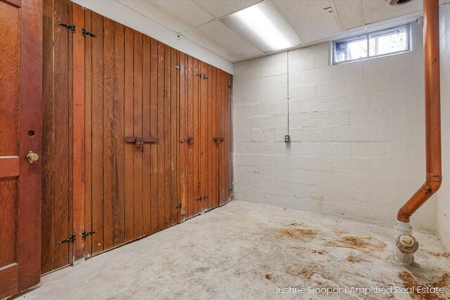 1220 W Green St, Hastings, MI 49058 - below grade area with wooden walls