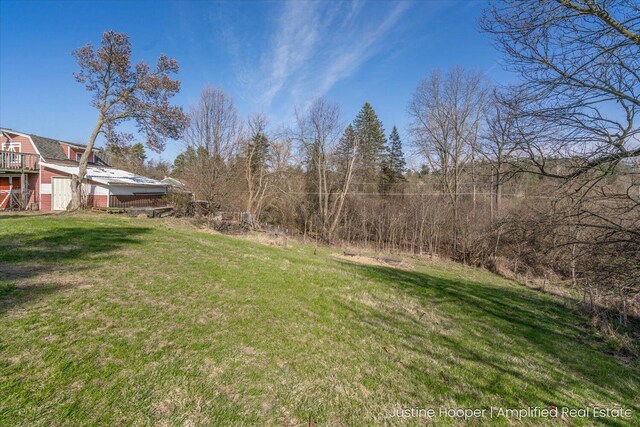 1220 W Green St, Hastings, MI 49058 - view of yard