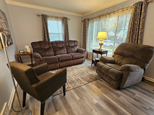 living room with baseboards and wood finished floors