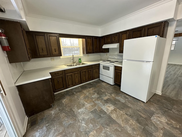 kitchen with white appliances, dark brown cabinets, under cabinet range hood, light countertops, and a sink