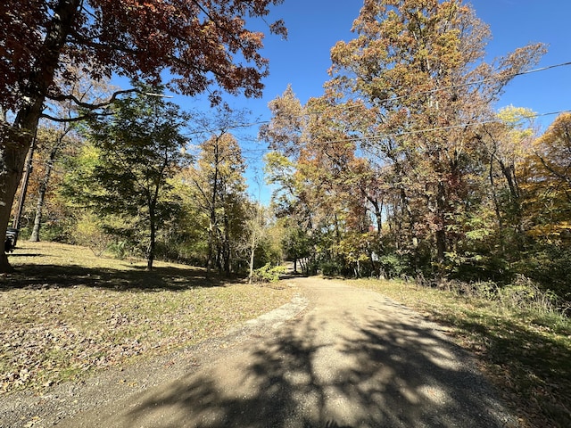 view of street featuring a view of trees