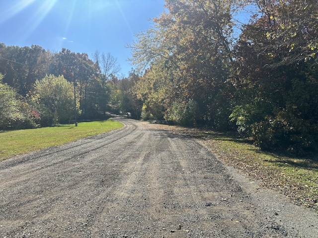 view of road with a forest view
