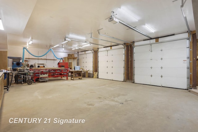 4285 N Iva Rd, Hemlock, MI 48626 - garage with a garage door opener and a workshop area
