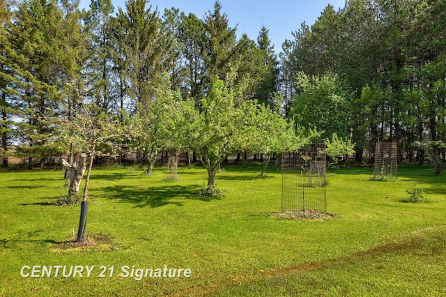 4285 N Iva Rd, Hemlock, MI 48626 - view of community with a yard