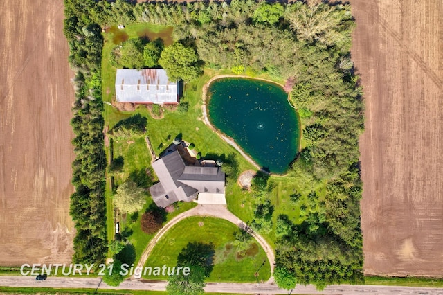 4285 N Iva Rd, Hemlock, MI 48626 - aerial view of a large body of water