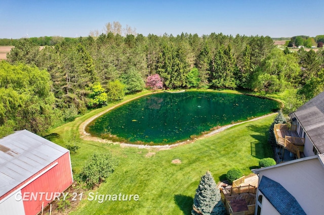 4285 N Iva Rd, Hemlock, MI 48626 - drone / aerial view of a forest