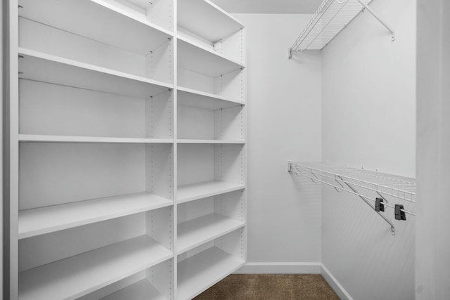 spacious closet featuring carpet