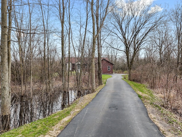 view of street featuring driveway