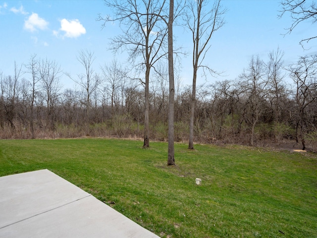 view of yard with a patio area