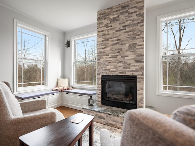 interior space featuring light wood finished floors and a large fireplace