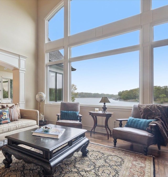 living area with wood finished floors, a high ceiling, and a water view