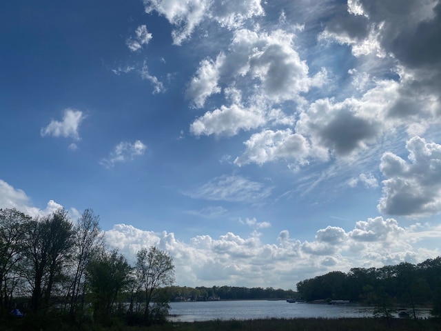 water view featuring a forest