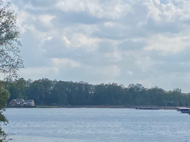 water view with a forest