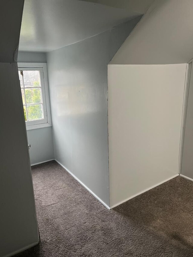 additional living space featuring carpet flooring and baseboards