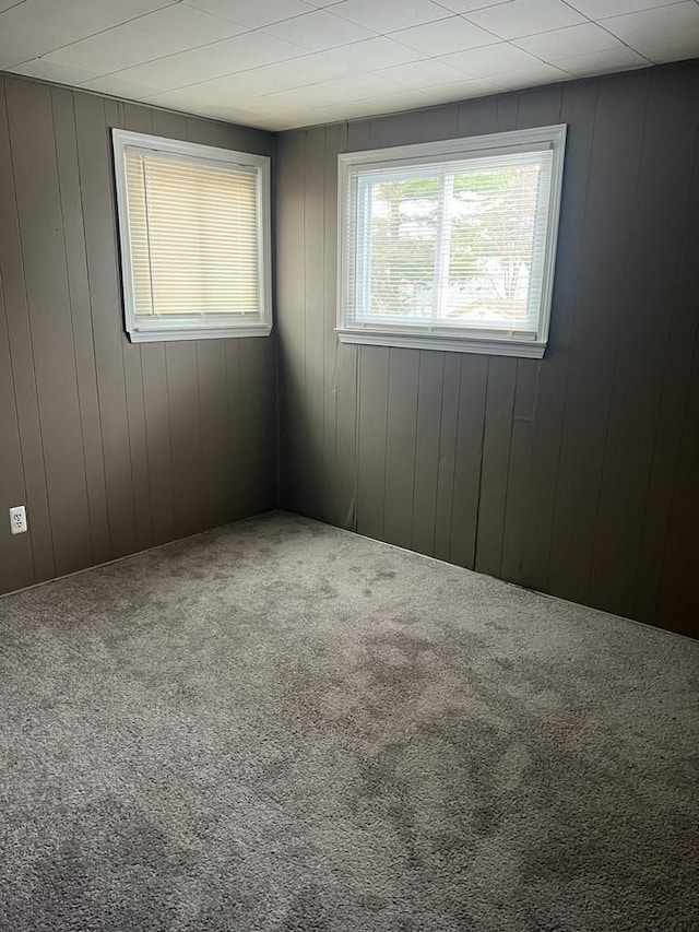 unfurnished room with carpet flooring