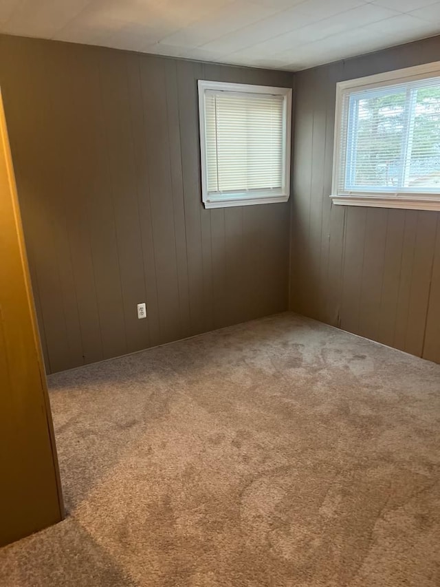 carpeted spare room with wood walls