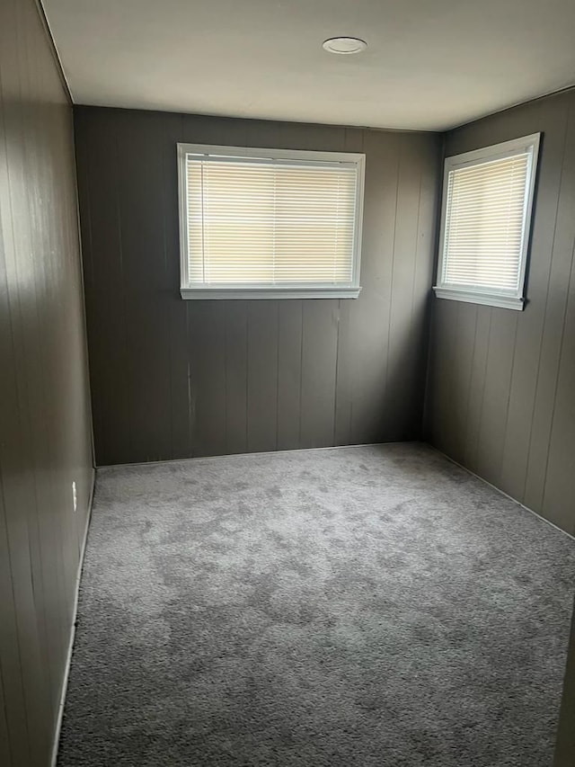 spare room featuring a wealth of natural light and carpet flooring