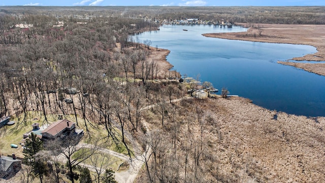 201 Templar Ave, Pinckney, MI 48169 - bird's eye view with a water view and a forest view