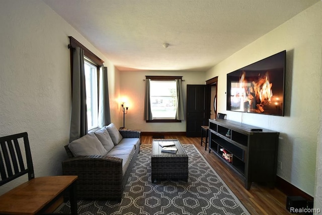 living room with a textured wall, baseboards, and wood finished floors