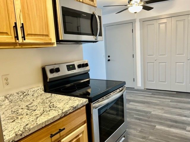 8741 Green Willow St Unit 11, Brighton, MI 48116 - kitchen with appliances with stainless steel finishes, a ceiling fan, light stone countertops, and wood finished floors