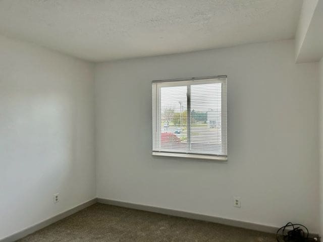 8741 Green Willow St Unit 11, Brighton, MI 48116 - carpeted empty room with baseboards and a textured ceiling