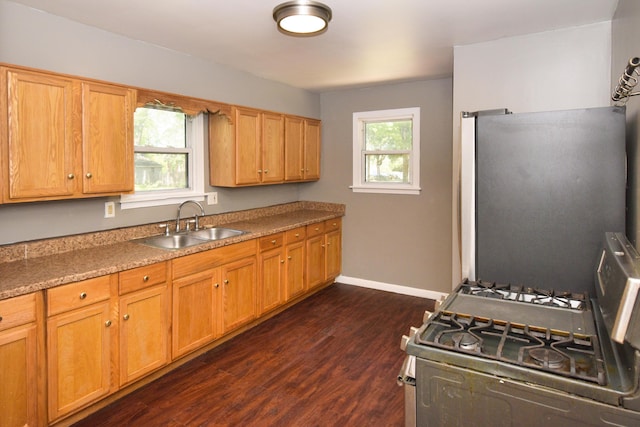 kitchen with a sink, baseboards, dark wood-type flooring, and stainless steel appliances
