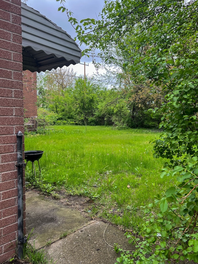 16200 Lawton St, Detroit, MI 48221 - view of yard