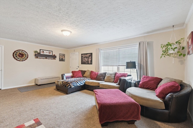 carpeted living area featuring crown molding, baseboards, and a textured ceiling