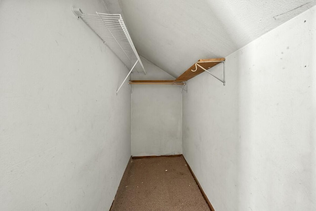 spacious closet featuring carpet and lofted ceiling