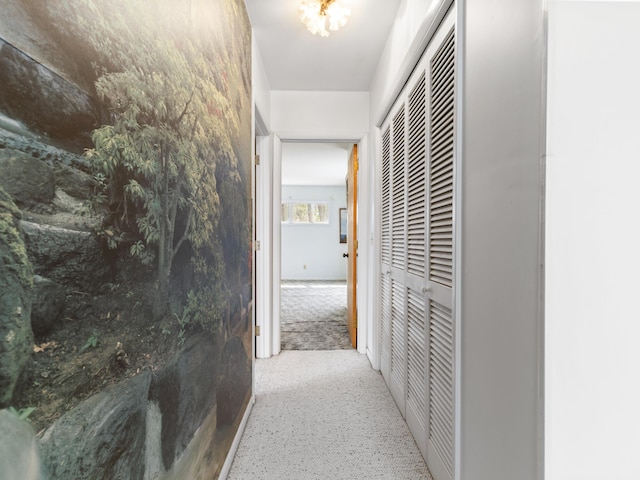 hallway featuring carpet flooring