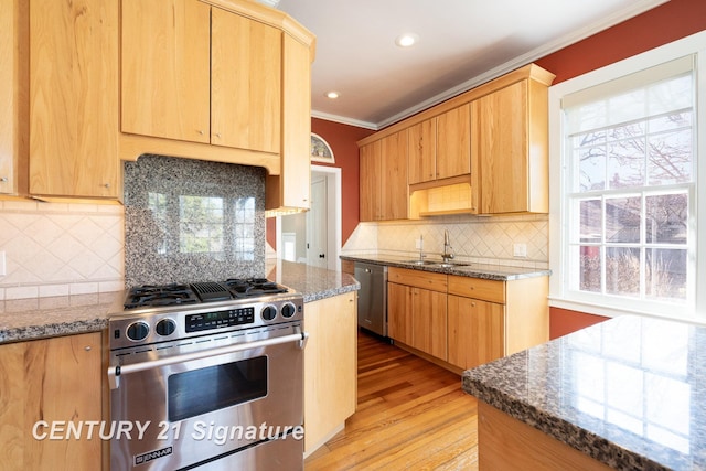 105 Parkwood Ct, Bay City, MI 48706 - kitchen with a wealth of natural light, ornamental molding, light brown cabinetry, and appliances with stainless steel finishes
