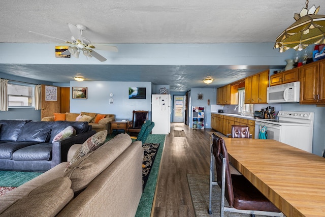 dining room featuring ceiling fan, a textured ceiling, and dark wood finished floors