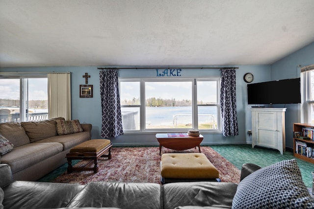 living area with a wealth of natural light and baseboards