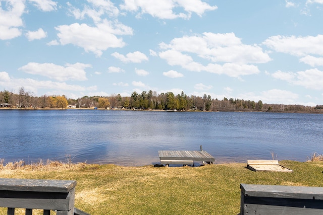 property view of water with a dock